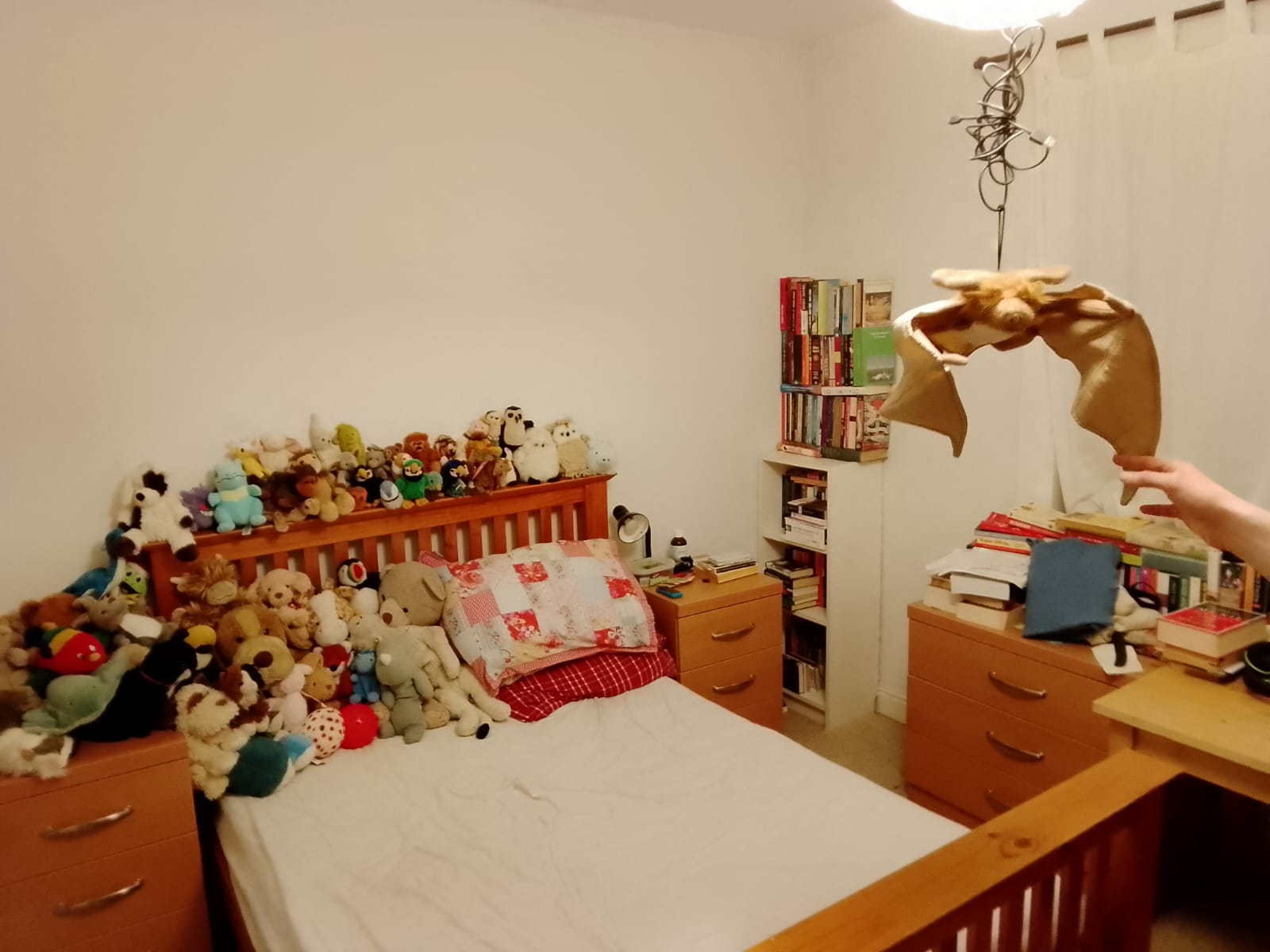 A calming picture of Jorik's room, clean and filled with a menagerie of pluche toy creatures and books.